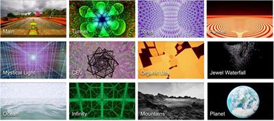 Psychedelic replications in virtual reality and their potential as a therapeutic instrument: an open-label feasibility study